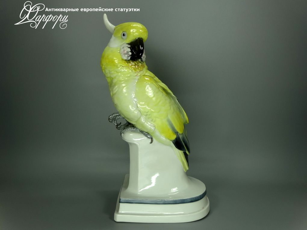 Купить фарфоровые статуэтки Hochst, Большой желтый какаду, Германия